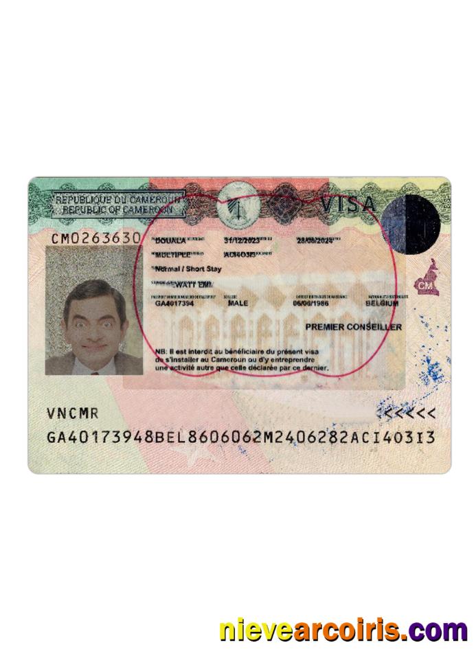 Cameroon travel visa version 2